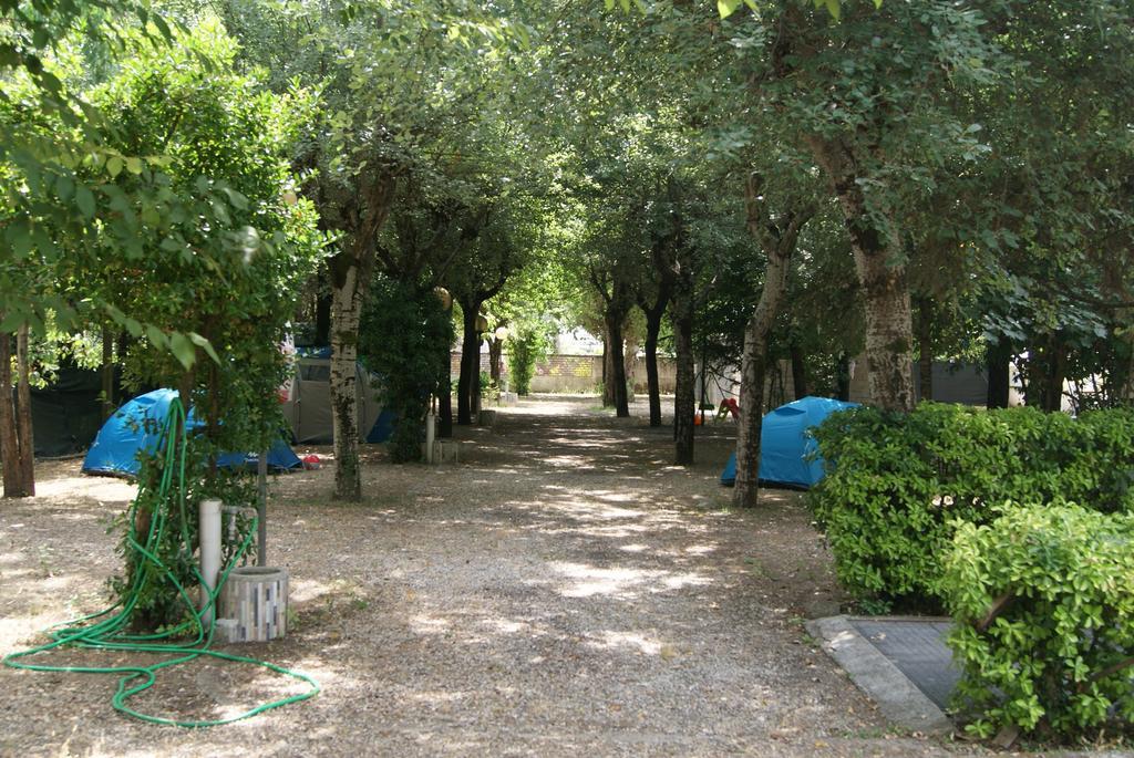 Camping Dolce Sole مارينا دي ماسا المظهر الخارجي الصورة