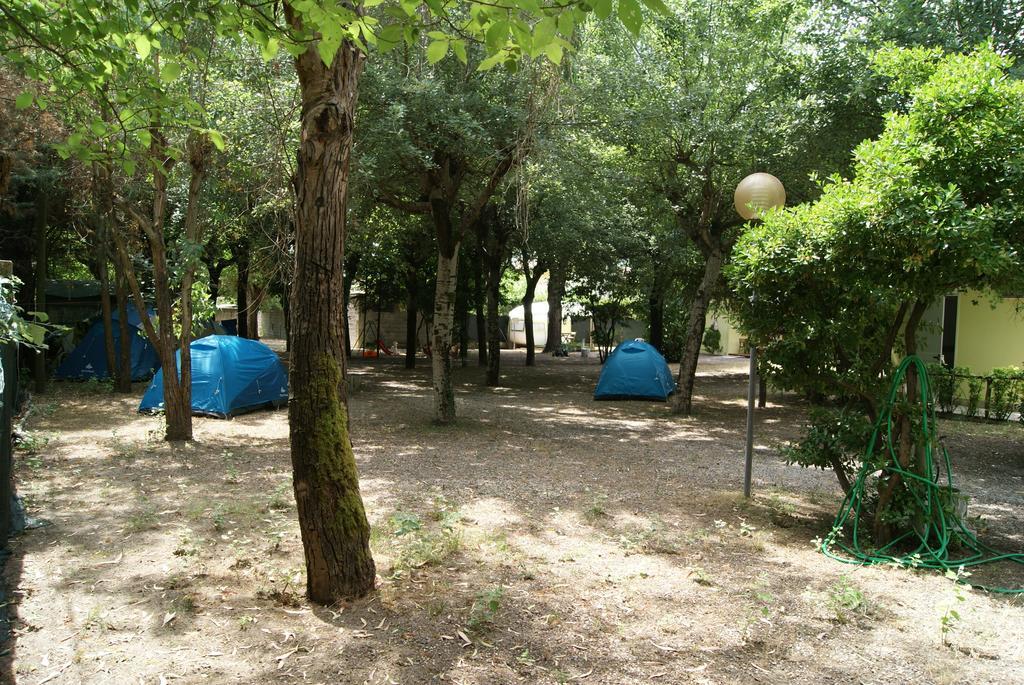 Camping Dolce Sole مارينا دي ماسا الغرفة الصورة