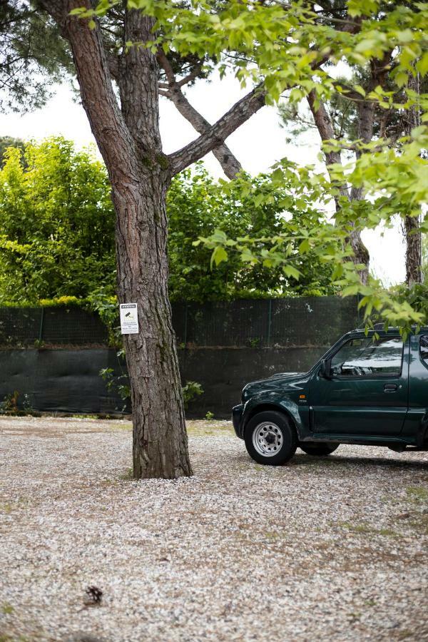 Camping Dolce Sole مارينا دي ماسا المظهر الخارجي الصورة